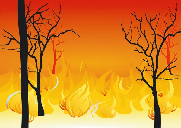 Forest fires — Stock Vector