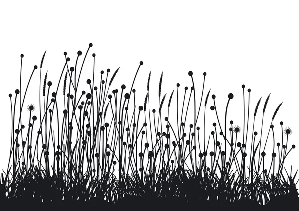 Grassen — Stockvector