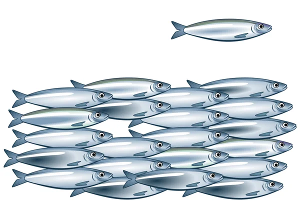 Sardalya balık sürüsü — Stok Vektör