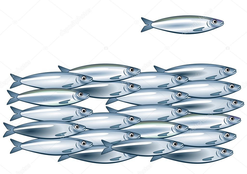 Sardine shoal