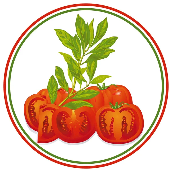 Tomate e manjericão —  Vetores de Stock