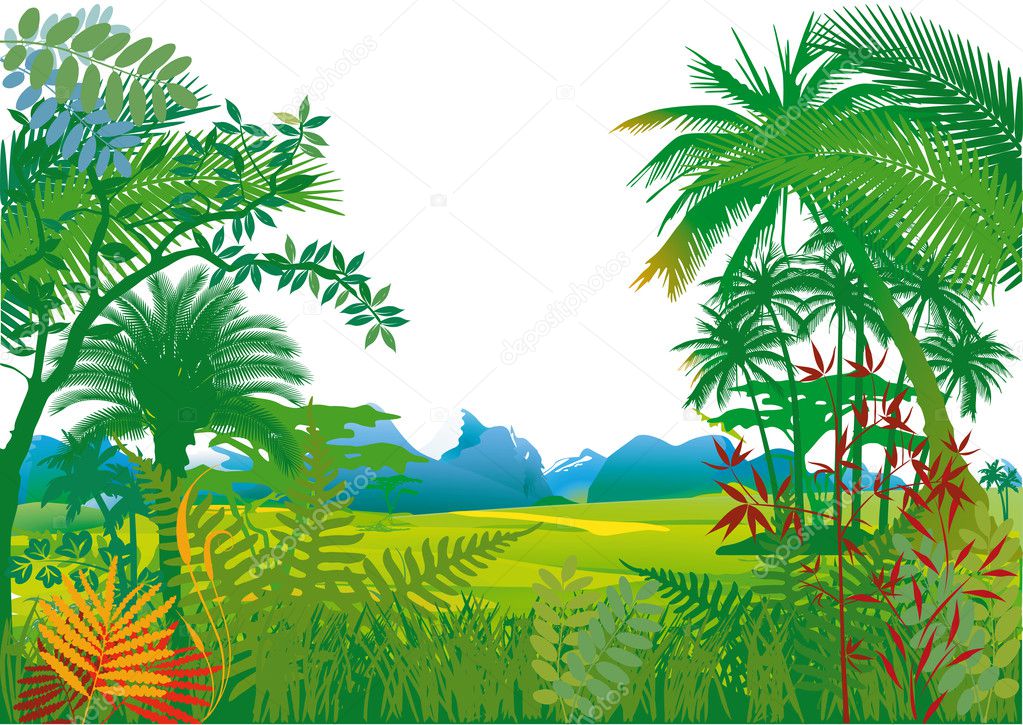 Jungle with palm trees