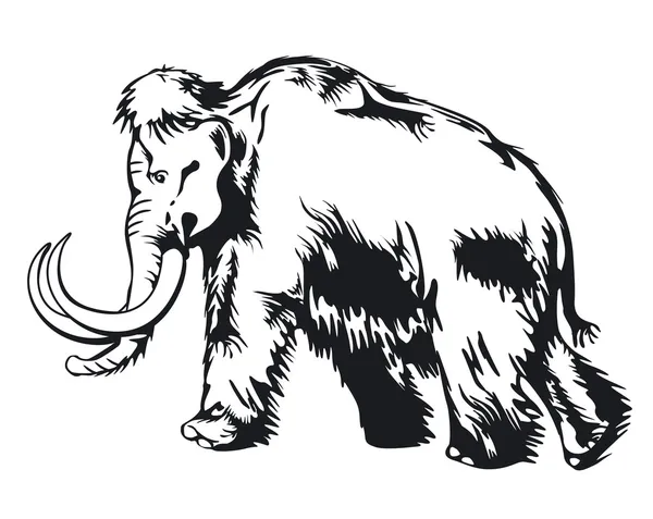 猛犸象 — 图库矢量图片