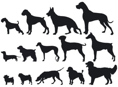 Dogs and Dog Breeds clipart