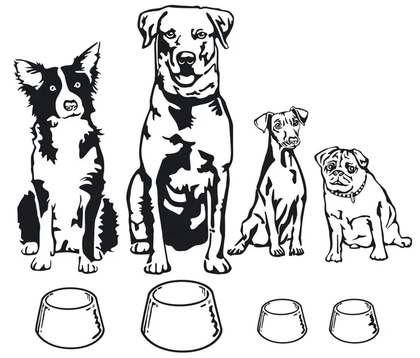 Cuatro perros con tazón de comida — Vector de stock