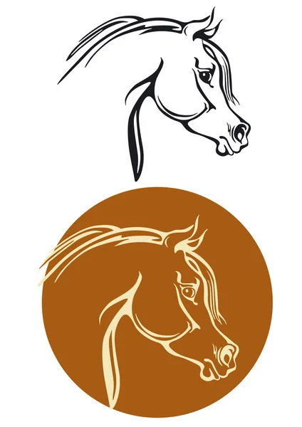 Tête de cheval pur-sang — Image vectorielle