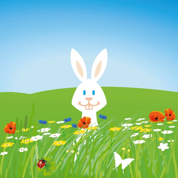 草原上的兔子 — 图库矢量图片