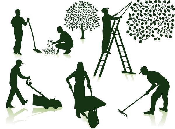 Уход за садом
