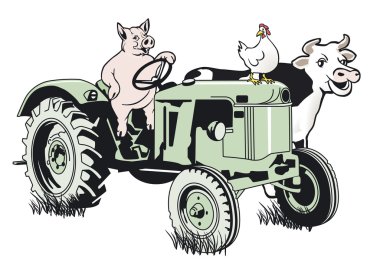 Pig on the tractor clipart