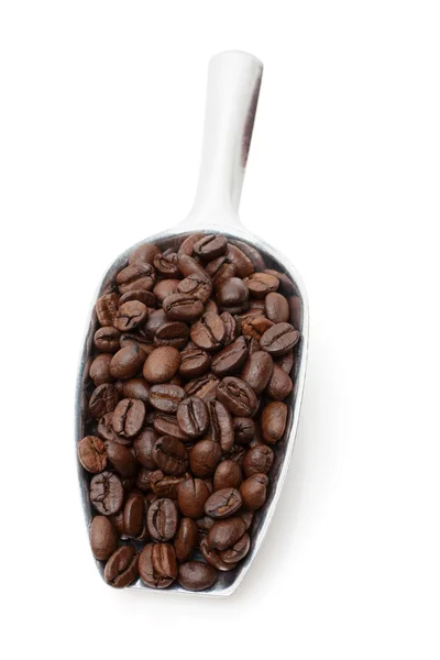 Coffee beans in metal scoop — Stock Photo, Image