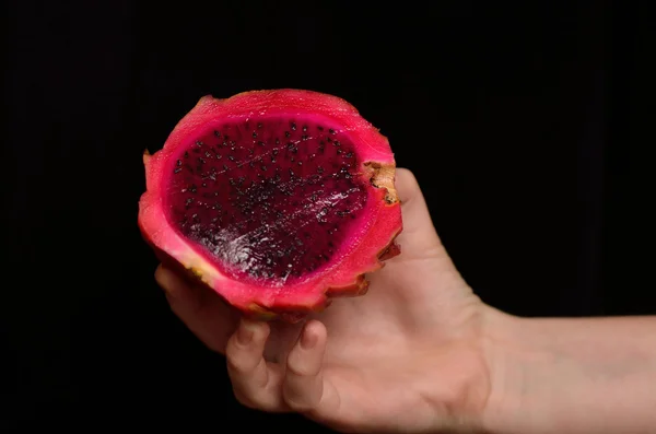 Φρούτων pitaya κάκτος — Φωτογραφία Αρχείου