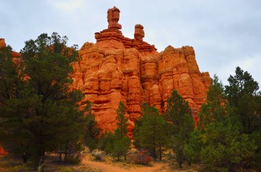 tuz shaker ve biber red rock canyon