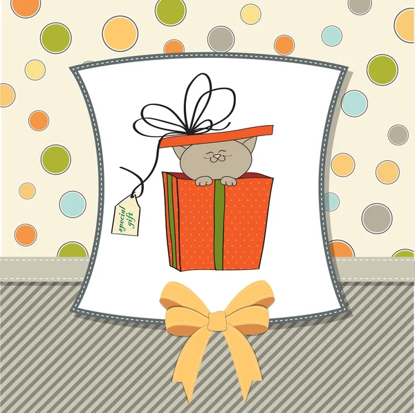 Süße Katze im Geschenkkarton — Stockfoto