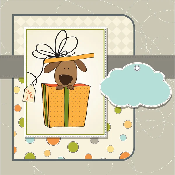 Leuke hond in een doos van de gift — Stockfoto