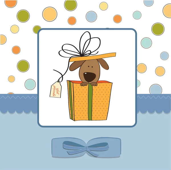 Leuke hond in een doos van de gift — Stockfoto