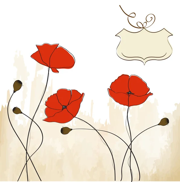 Poppies floral background — Stock Photo, Image