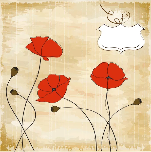 Coquelicots fond floral — Photo