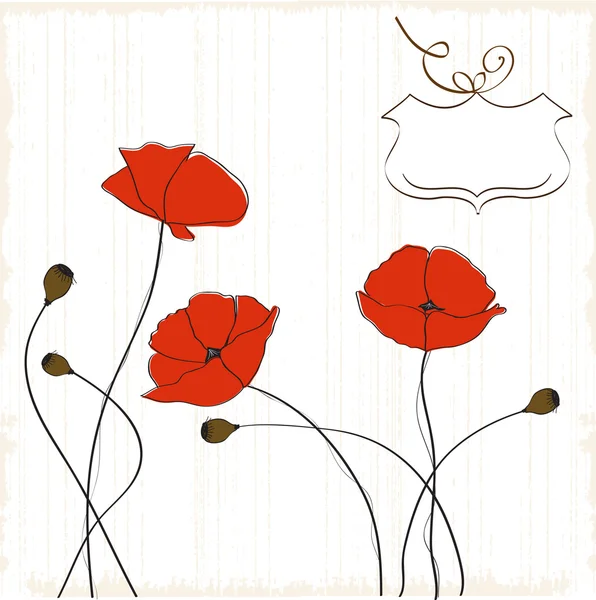 Poppies çiçek arka plan — Stok fotoğraf