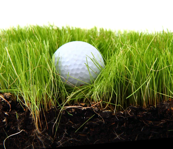 Мяч для гольфа в зеленой траве — стоковое фото