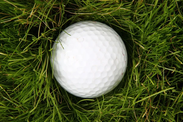 Pelota de golf en la hierba verde — Foto de Stock