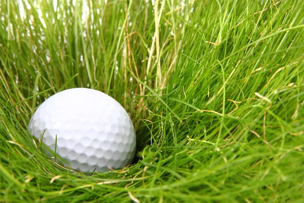 Pelota de golf en la hierba verde —  Fotos de Stock