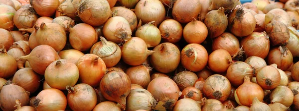 Onion background — Stock Photo, Image