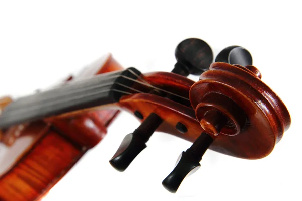 stock image Violin details