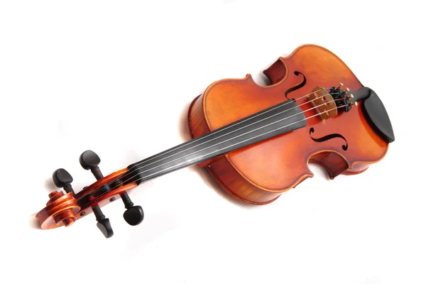 Velhos violinos isolados no fundo branco — Fotografia de Stock