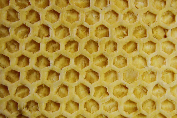 Bee wax achtergrond — Stockfoto