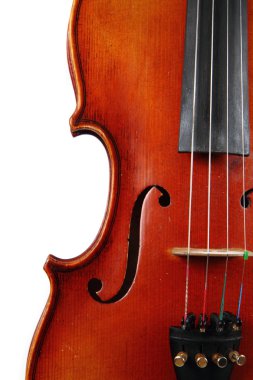 Violin details clipart