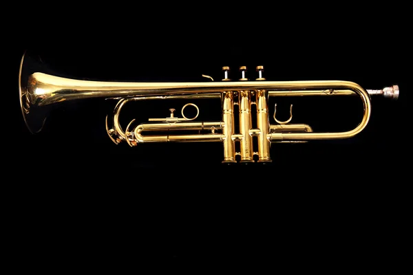 Trompet emas — Stok Foto