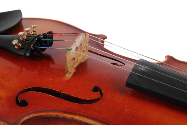 Dettaglio violino — Foto Stock