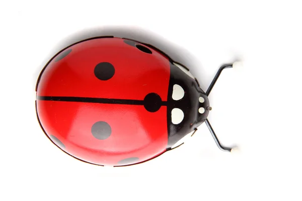 Old red ladybird toy — Stock Photo, Image