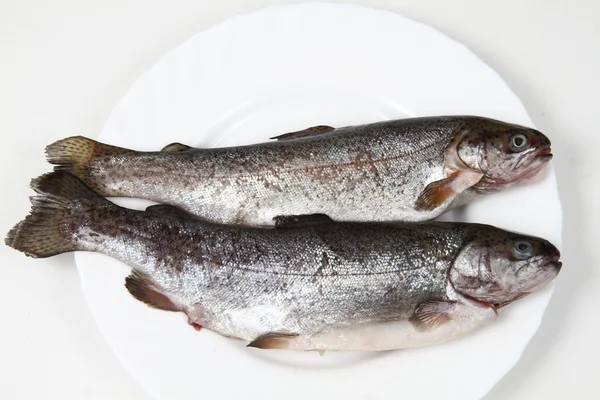 stock image Raw trout fishes