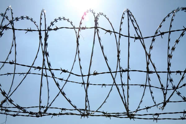 Barbed wire against blue sky — Stock Photo, Image