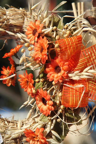 Orange flower background — Stock Photo, Image