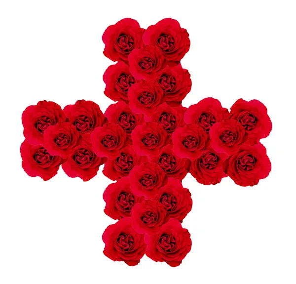 Kříž růže — Stock fotografie