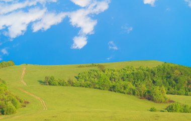 berg weide onder de blauwe hemel