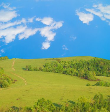 berg weide onder de blauwe hemel