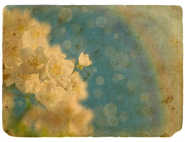 Kwitnący kwiat jaśminu. Stara pocztówka. — Zdjęcie stockowe