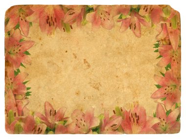 Frame of pink lilies. Old postcard. clipart