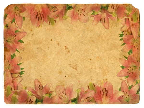 Marco de lirios rosados. Tarjeta postal antigua . —  Fotos de Stock