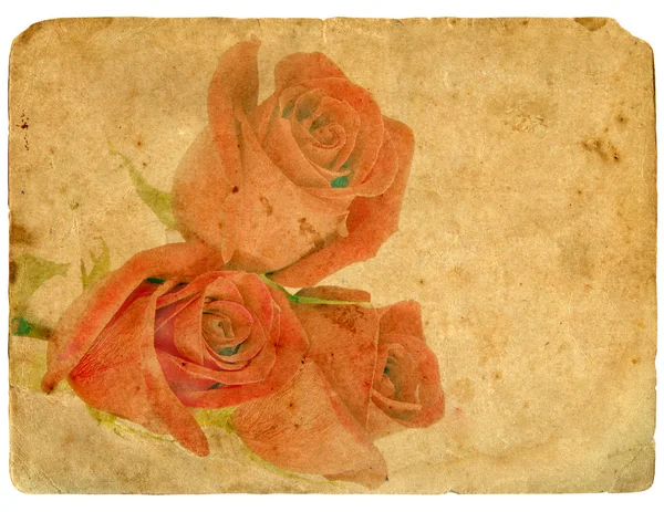 Boeket rozen. oude ansichtkaart. — Stockfoto