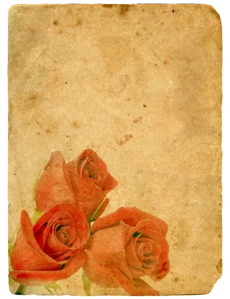 Bukett av rosor. Gamla vykort. — Stockfoto