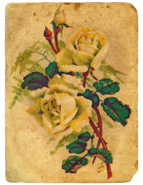Painted a bouquet of roses. Old postcard. — Stock Photo, Image