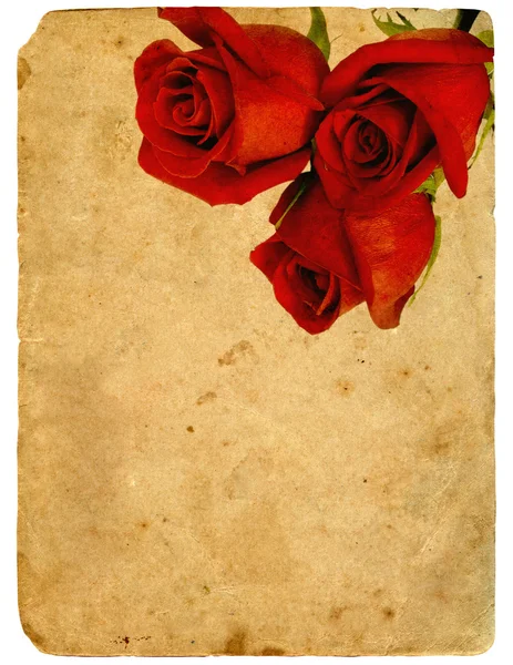 Old paper background, vintage rose — Stock Photo © Irochka #5118754