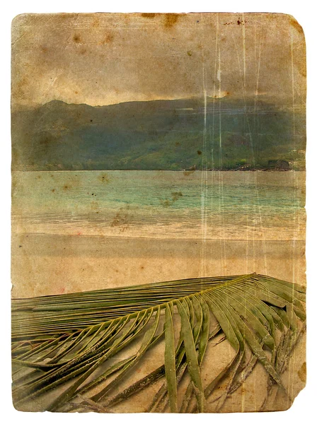 Tropische Landschaft. alte Postkarte. — Stockfoto
