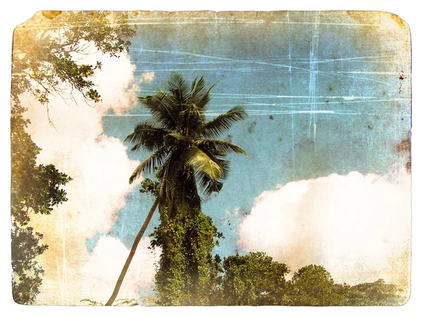 Palmy kokosowe drzewo, niebo, chmury. Stara pocztówka. — Zdjęcie stockowe