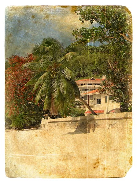 Tropické krajiny. Stará pohlednice. — Stock fotografie