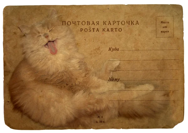 Cat canta una canción. Tarjeta postal antigua — Foto de Stock